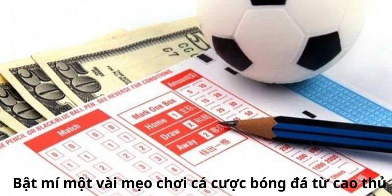 Bật mí một vài mẹo chơi cá cược bóng đá từ cao thủ